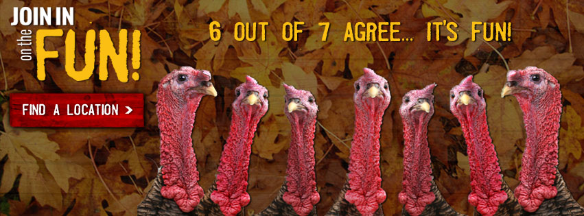 turkeys